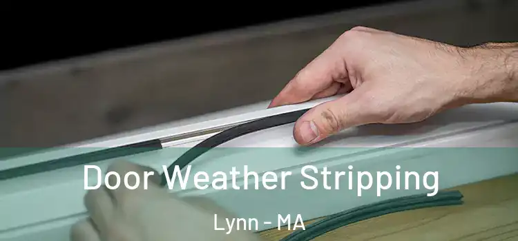  Door Weather Stripping Lynn - MA