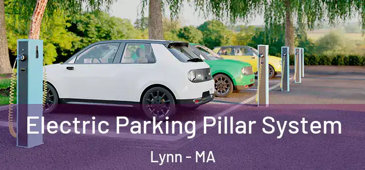  Electric Parking Pillar System Lynn - MA