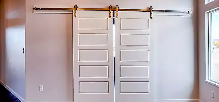 Glass Barn Door with Installation Hardware Kit Lynn